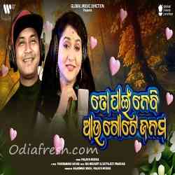 To Pain Nebi Au Gote Janam